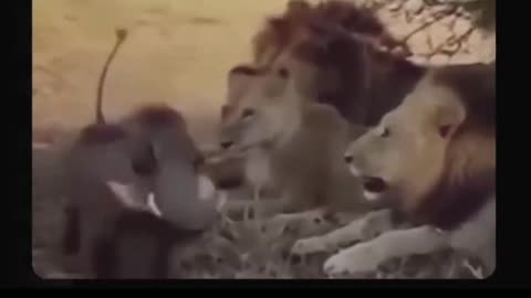 What thought do you need to let go of today?