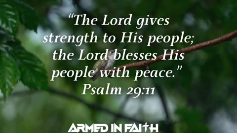 Peace isn’t a feeling, it’s a gift from the Spirit.