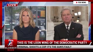 This Is The Loon Wing Of The Democratic Party