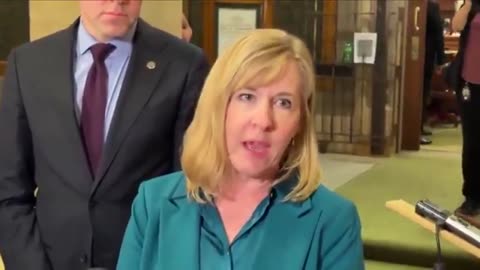 Melissa Hortman was the only Democrat to vote against healthcare funding for
