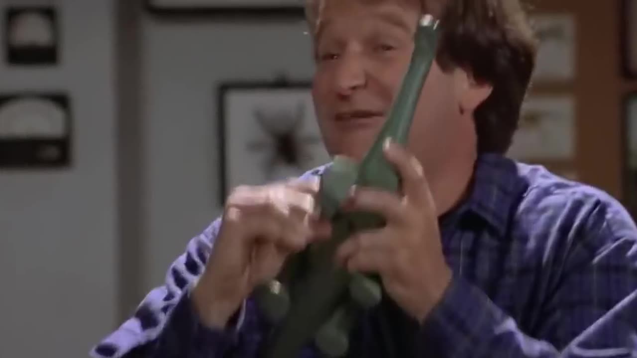 "Mrs. Doubtfire" Starring Robin Williams and Sally Field