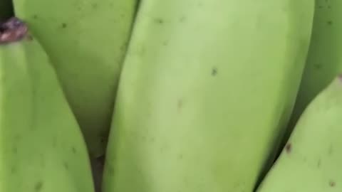 Banana Myths and Facts: What You Didn’t Know"