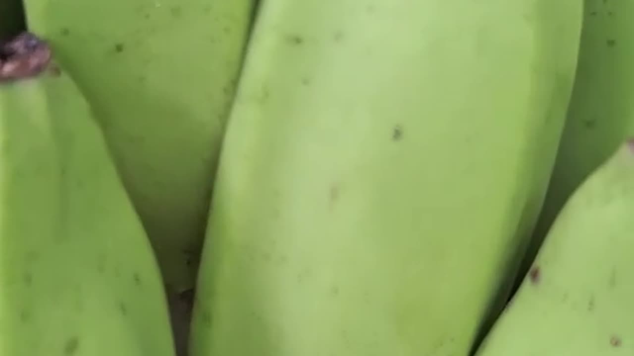 Banana Myths and Facts: What You Didn’t Know"