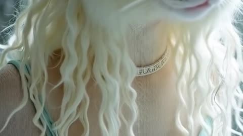 📹 Day vlog #cute #funnycat