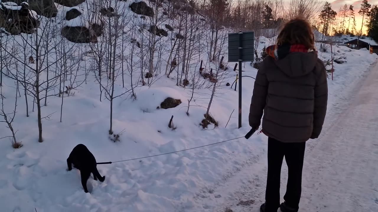 WoW another glorious sunrise 🌅