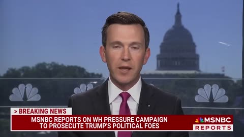 New details on White House pressure campaign inside Trumps