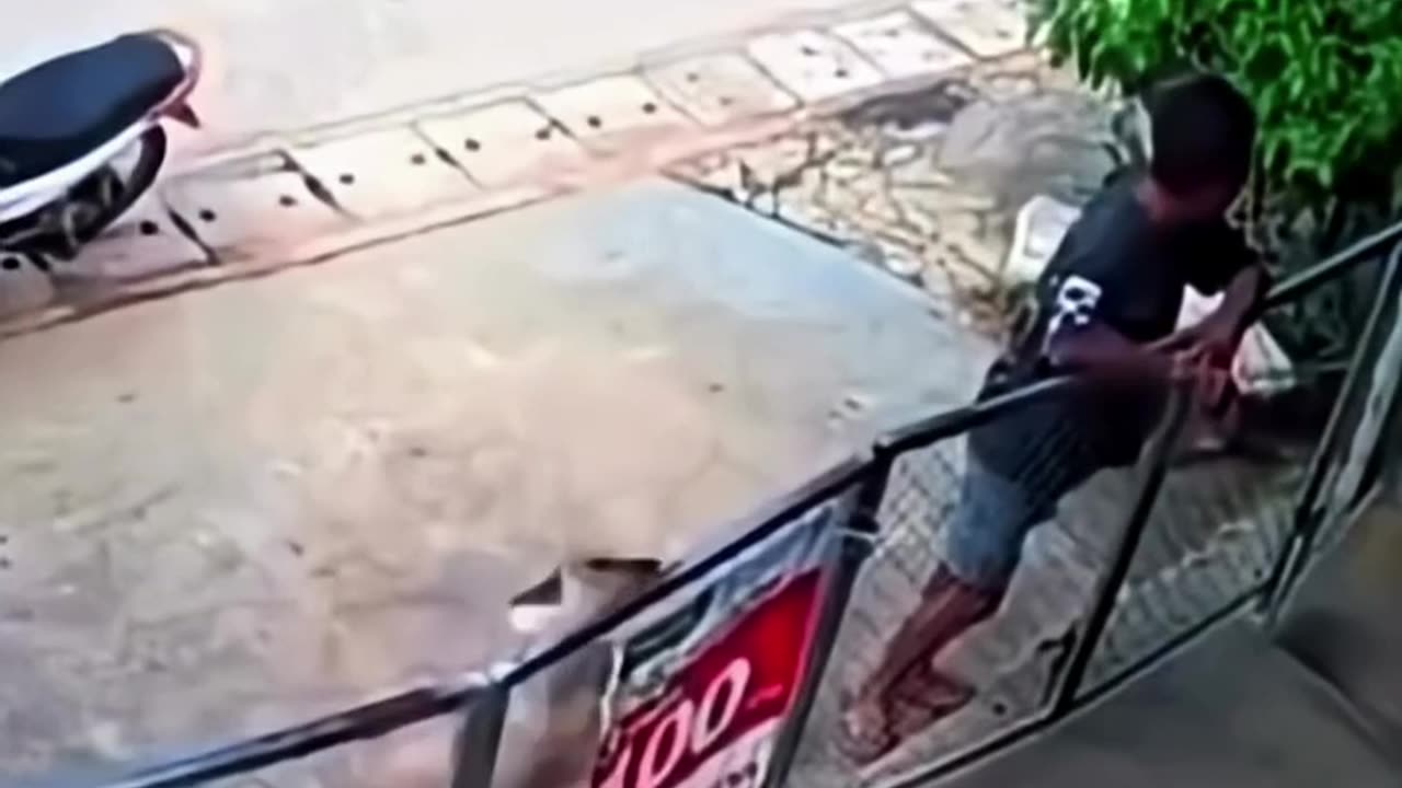 😂🐶 Doggo is Late for Work! | FunFM