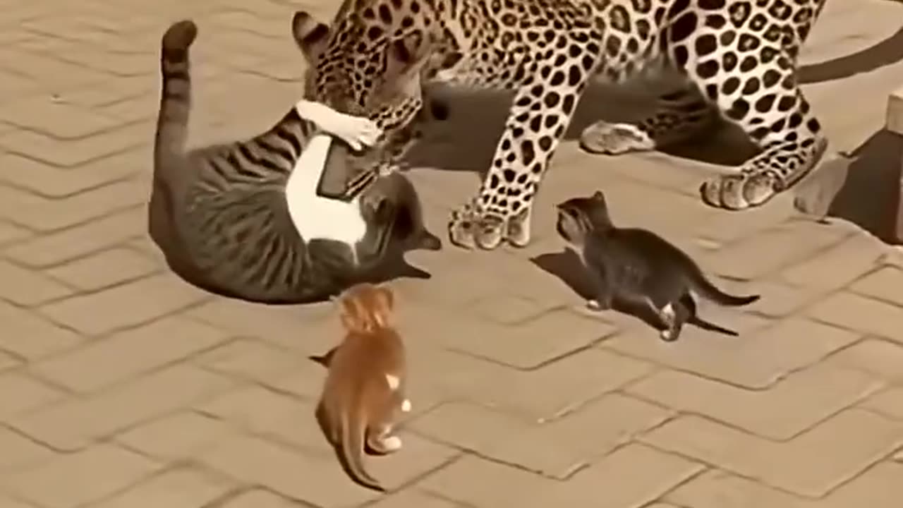 The mother cat bravely defended her cub.