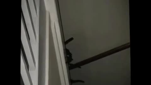 😨👻 #perte #xte #neiperte #portamineiperte #foryou #foryourpage #fypage #... | TheHauntingHour