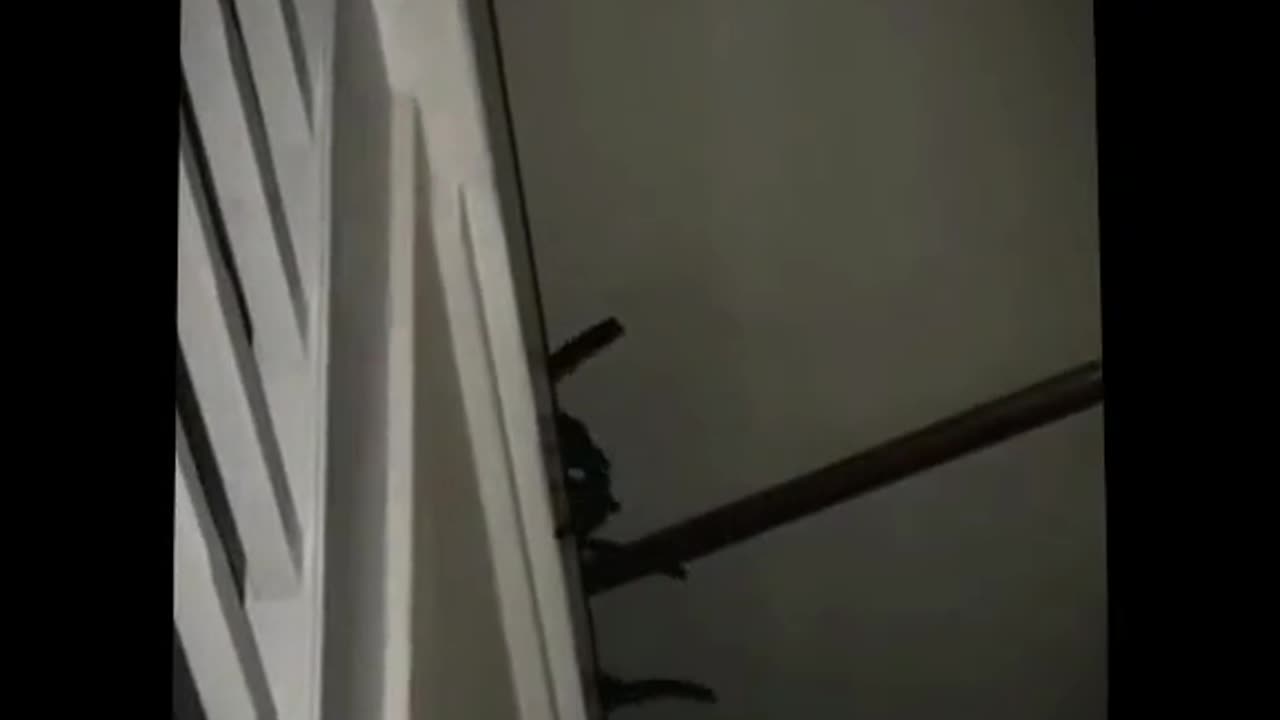 😨👻 #perte #xte #neiperte #portamineiperte #foryou #foryourpage #fypage #... | TheHauntingHour