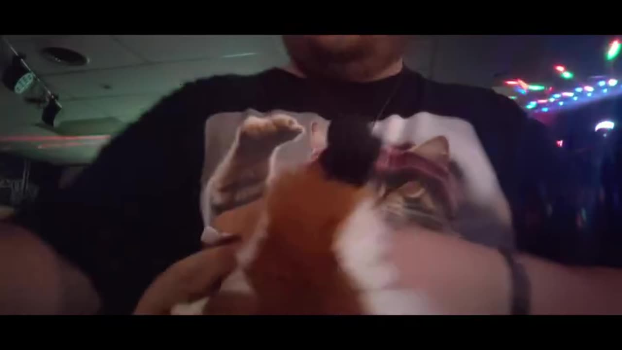 AUTISTIC MAN KILLED YLVIS WITH FRIEND- WHAT DOES THE FOX SAY SILLY LIVE COVER