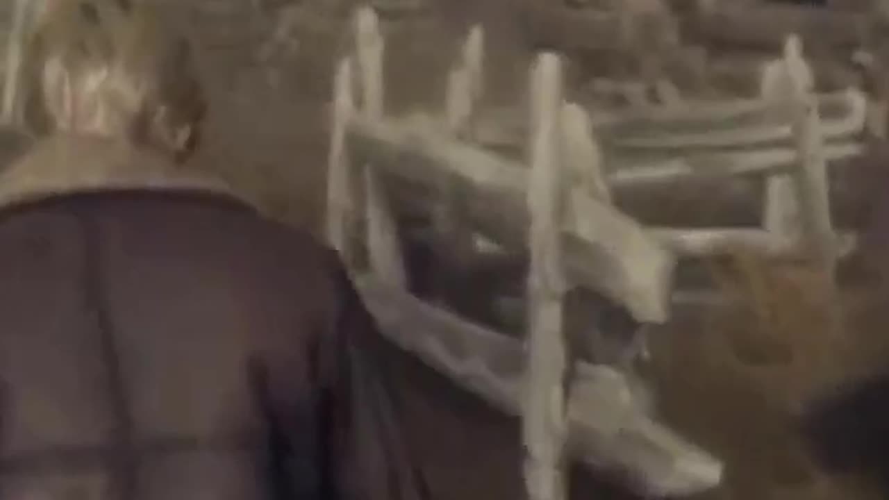 McDicken. Zombie Hunter? Ep. (2)? So, let's recap here. #residentevil4remake