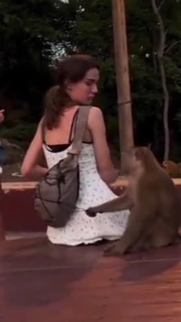 Not all animals hate us