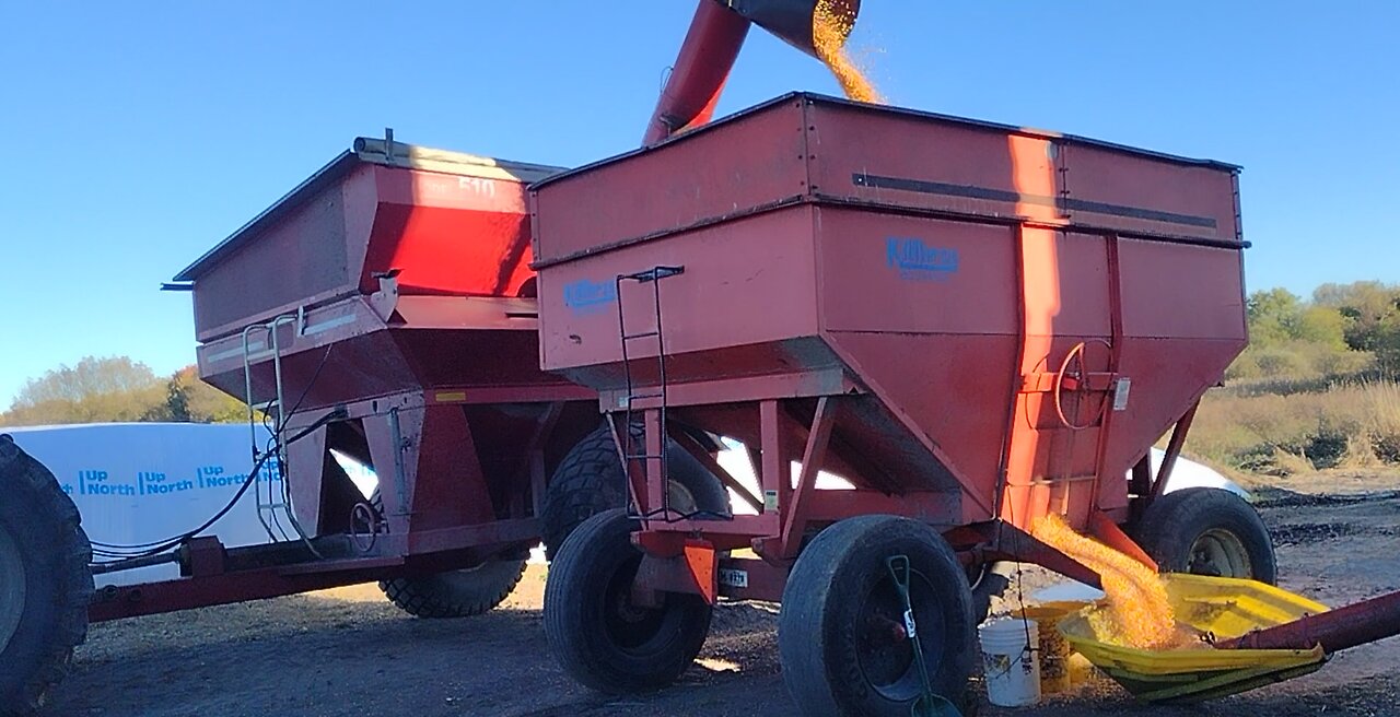 Grinding corn and filling silo