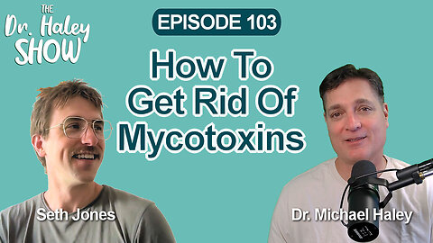 How To Get Rid Of Mycotoxins with Seth Jones #podcast
