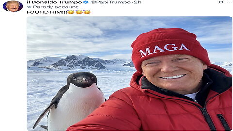 fren news17 - Be a Warrior Embrace the Penguin