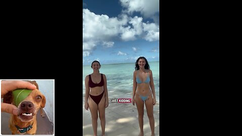 Funny videos compilation 51