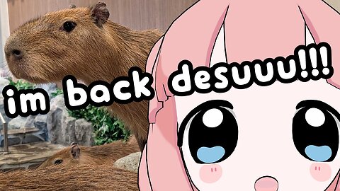 [Just Chatting] GUESS WHO'S BACK... 😼