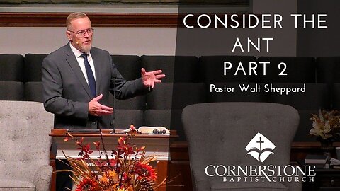 Consider The Ant Part 2--Wed PM--Oct 1, 2025