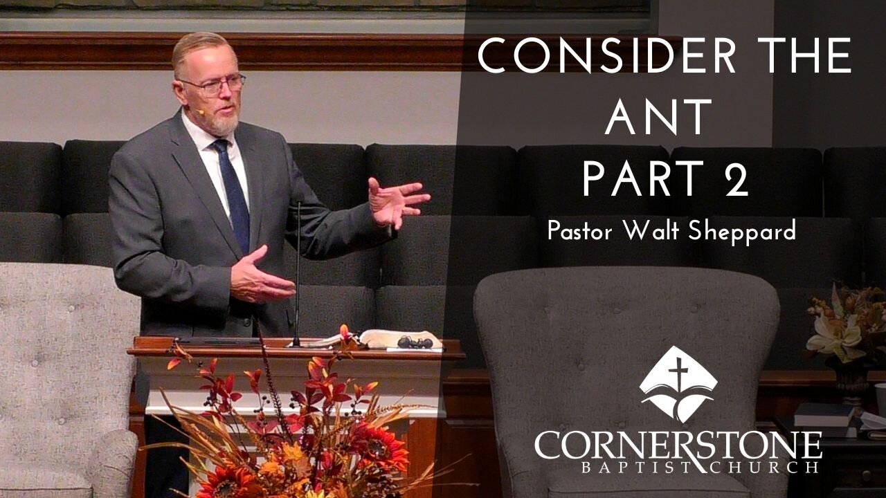 Consider The Ant Part 2--Wed PM--Oct 1, 2025