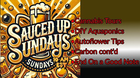 Sauced Up Sunday: Stream #21, Havin' Fun!