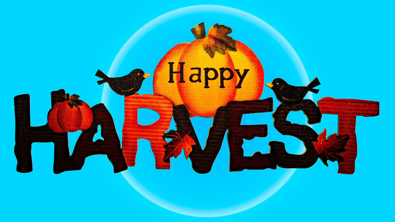 Harvest Festival 2025
