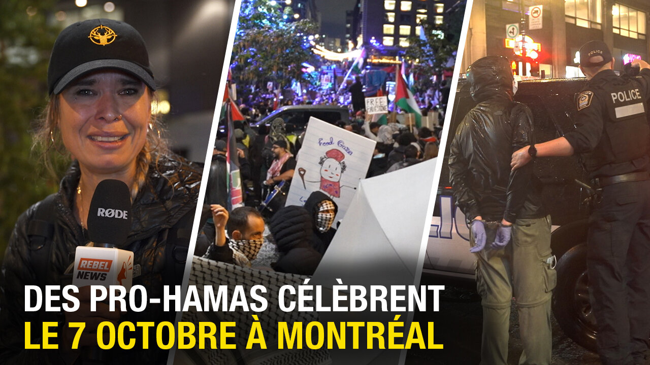 Rebel News attaquée et suivie par des militants pro-Hamas/Antifa