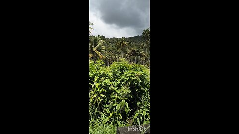 #1 ATHIRAPALLY Rd #truth #jesus #mary #joseph #ihs #christ #church #bible #christian #saints #trinit