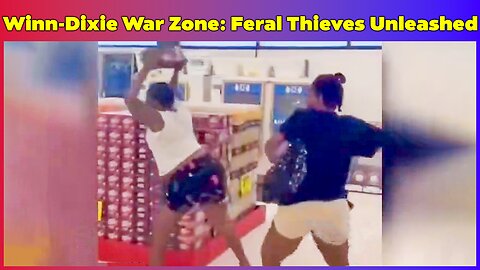 Winn-Dixie WAR ZONE: Feral Thieves Go Full Savage – No Consequences, No Civilization!