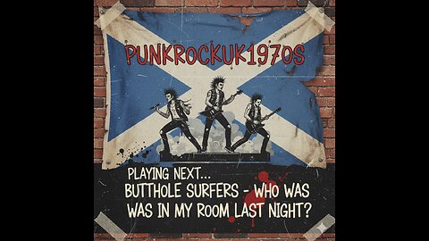 Butthole Surfers - Who Was In My Room Last Night?