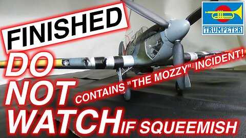 WARNING! DO NOT WATCH IF SQUEEMISH! The finished 1/24 large scale #Hurricane MK.IIc. #history