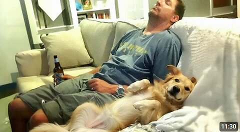 When Dog Start Imitating Their Human 😂 Funny Dog and Human Videos