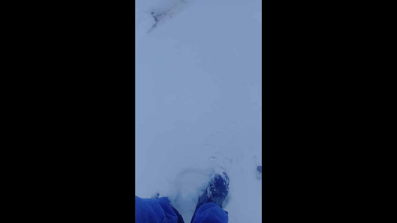 ,,😁😆