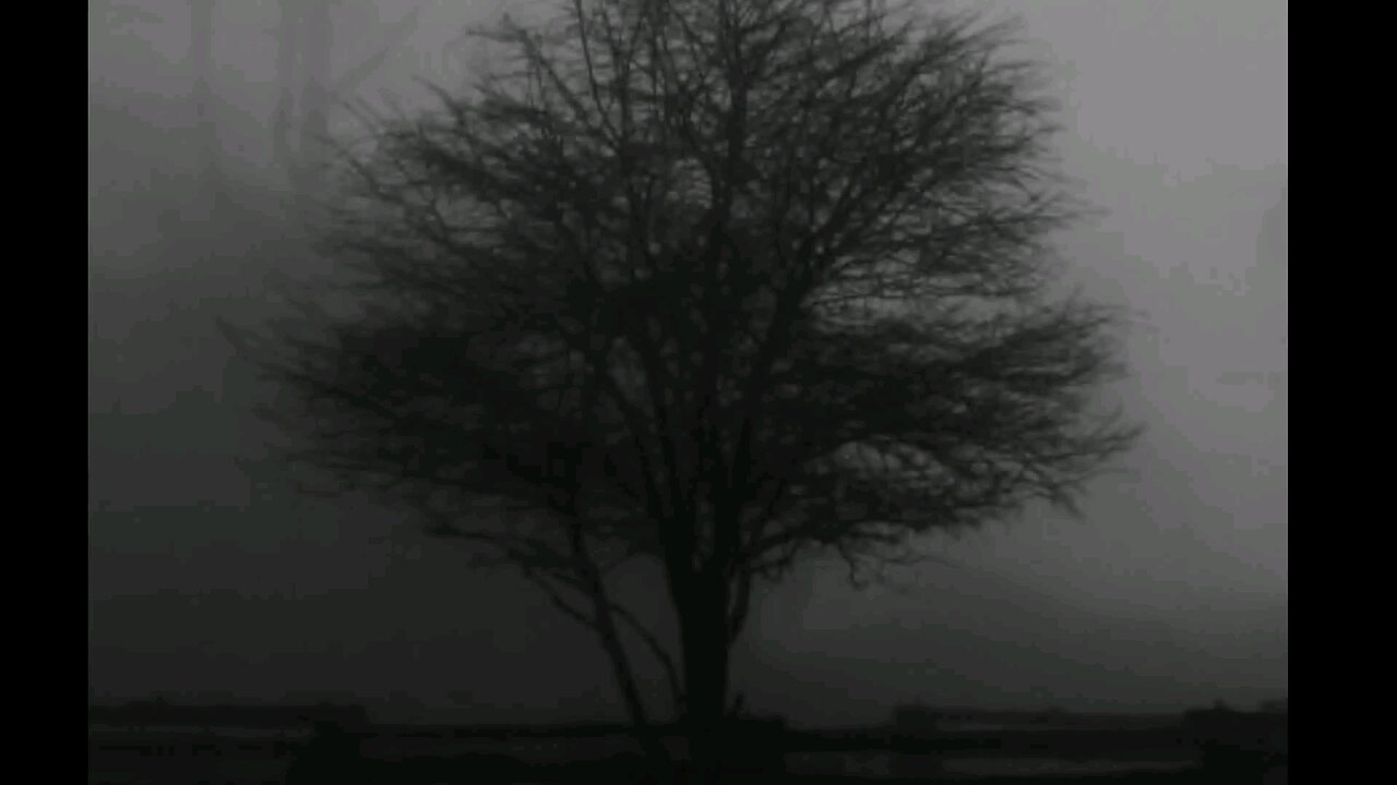 Just feel the music
