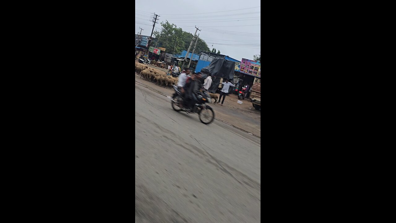 Auto Ride 🛺 Had Fun & Captured This 🤩🙌🏻