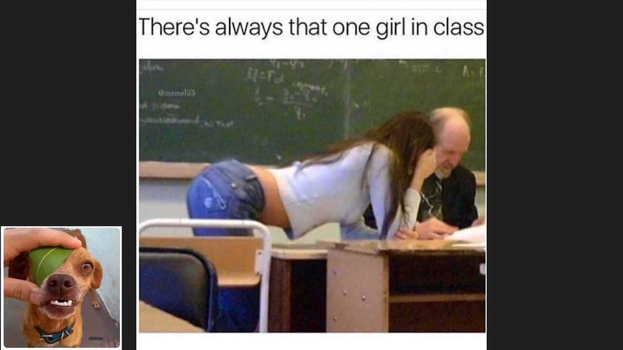 Memes That Will 99.0380% Make You Laugh. (e604)