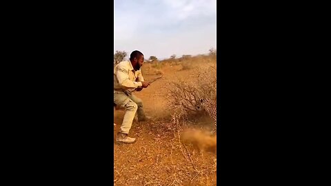 Unexpected Fight in Deep African Forest! 😱 #WildLife #AfricaAdventure #ManVsAnimal #JungleLife
