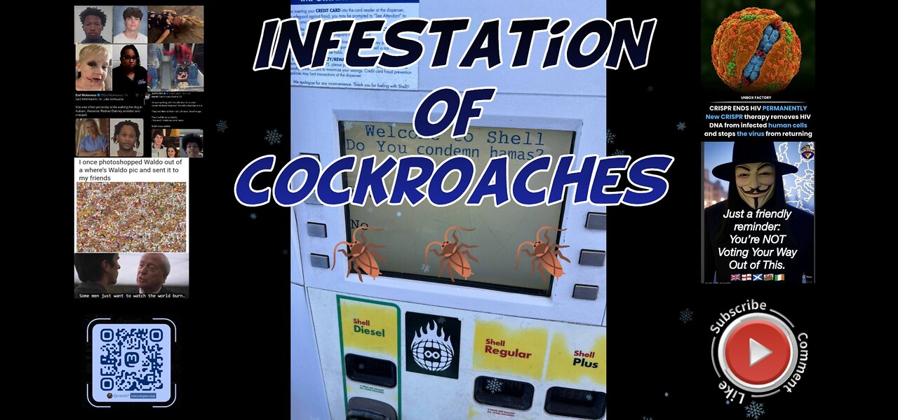 Infestation of cockroaches 🪳