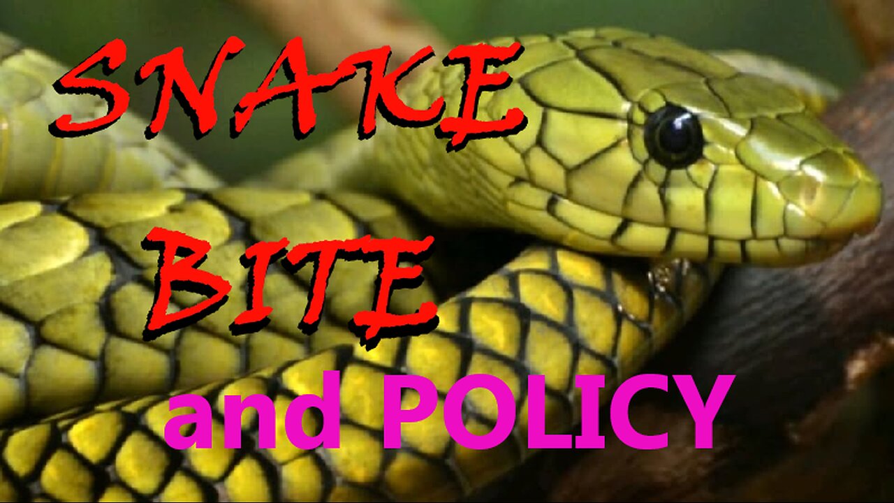 SNAKE BITE and Policy