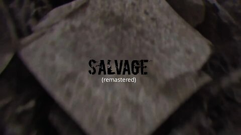 SALVAGE (remastered) visualizer