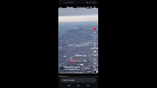 Let's See What The Lizards Are Up To