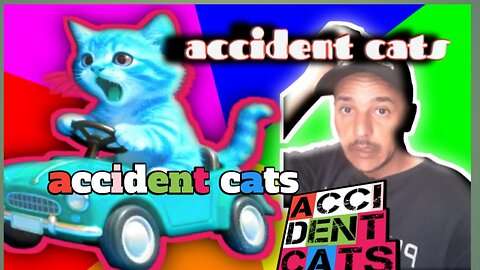 Smal cat do accident with cars driving ai