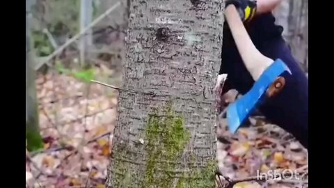 Couple Builds Their DREAM Home with HANDTOOLS! Like Follow for More interesting videos