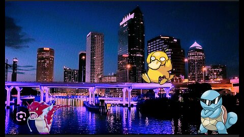 Pokemon Go In Downtown Tampa Bay FL