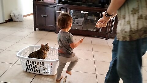 Cat Riding in Laundry basket