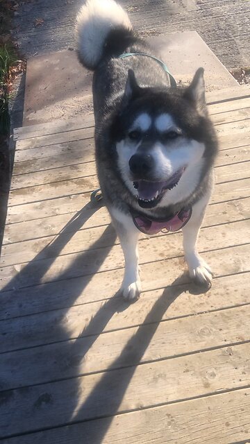 Wednesday October 29, Then the Lord answered