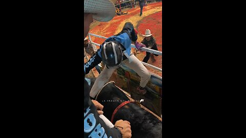 Bull Gone Wild: Shocking Moment a Bull Attacks the Crowd!"