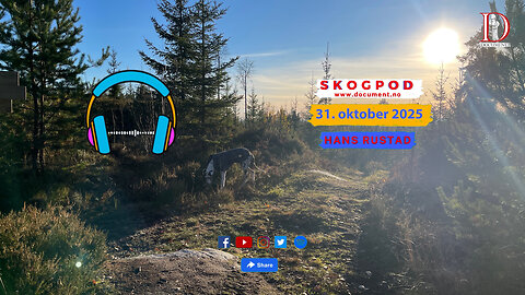 Skogpod 31. oktober 2025