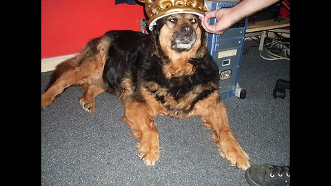 Had scan found Tyler