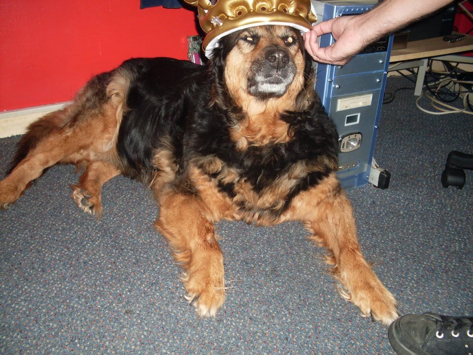 Had scan found Tyler